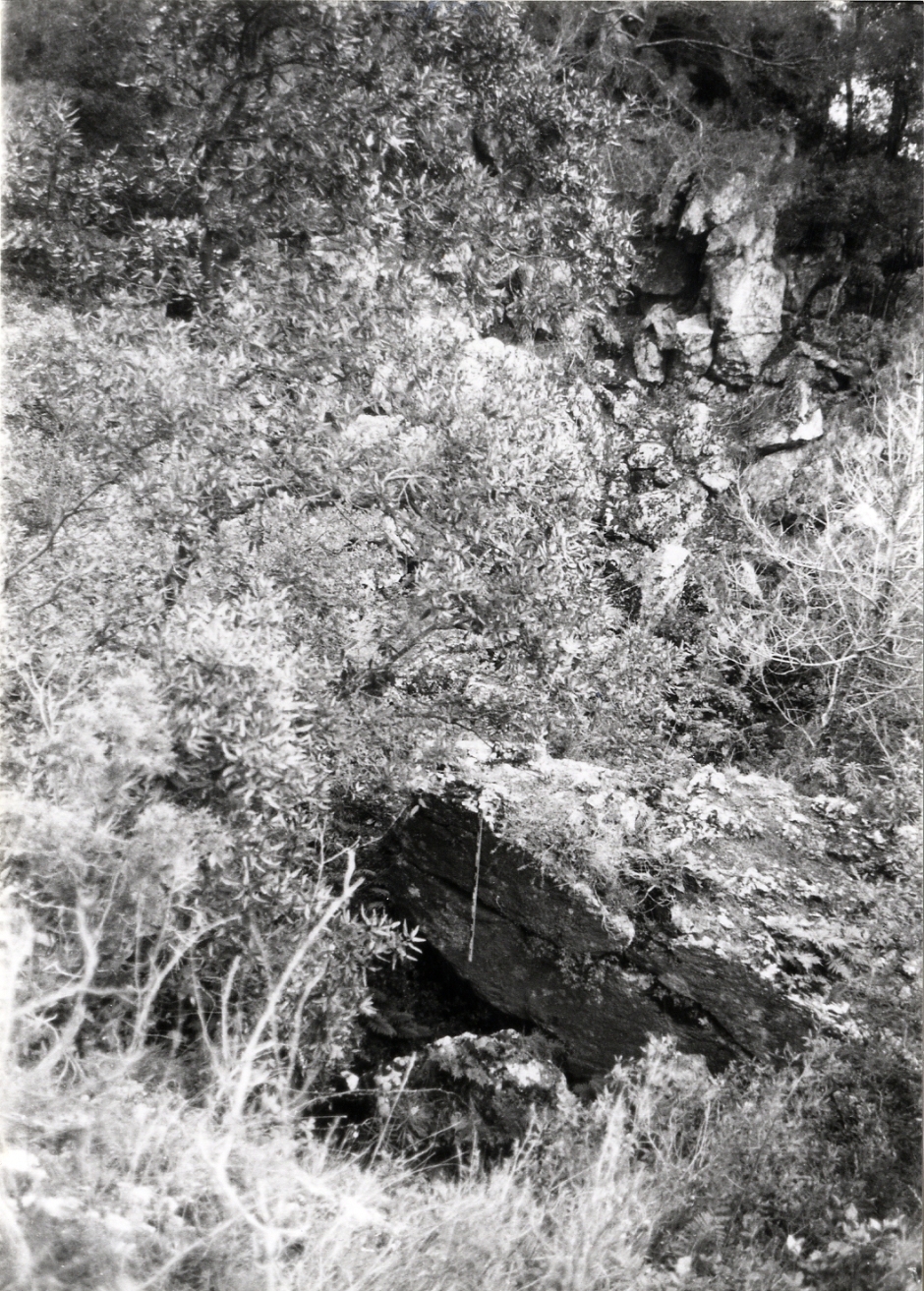 Vista principal de l'entrada de la cova. Foto: G. Ribé, A. Cebrià; M.R. Senabre. Inventari del Patrimoni Arqueològic de Catalunya.