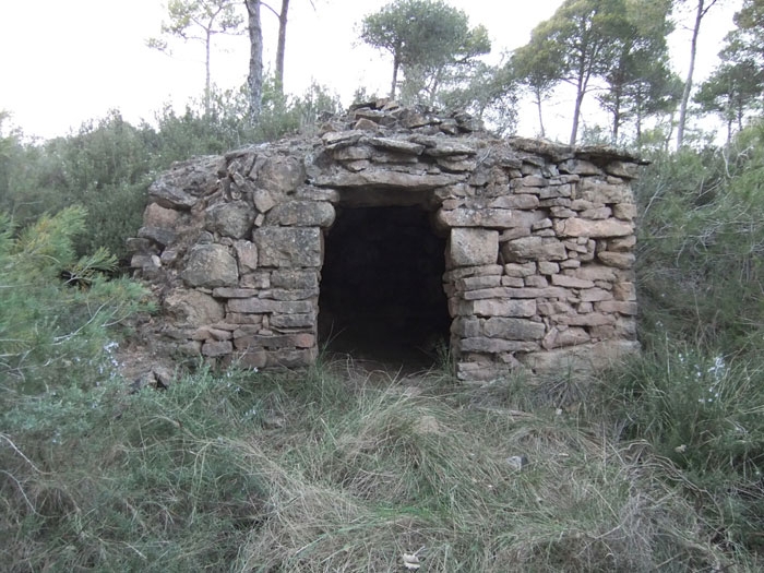 Autor de la foto David Hernandez (Wikipedra)