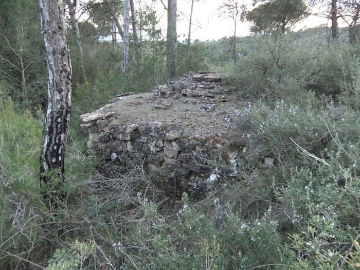 Autor de la foto David Hernandez (Wikipedra)