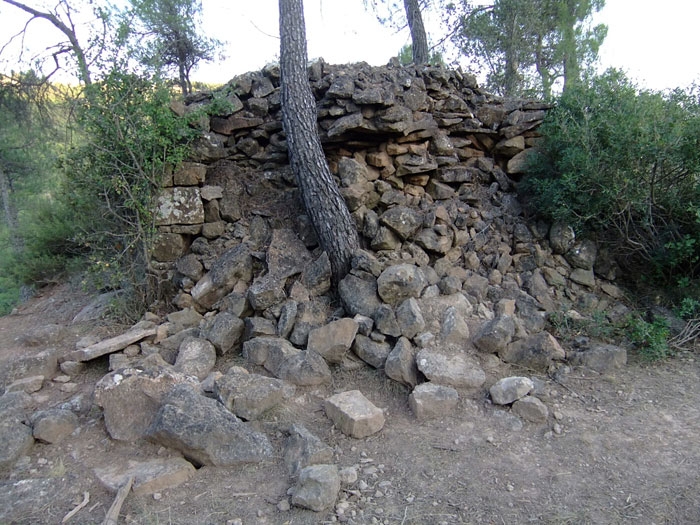 Autor de la foto David Hernandez (Wikipedra)