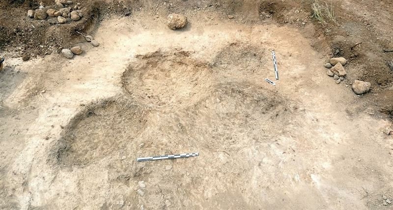 Autor: Sofia Aldeco, 2021. IPAPC fitxa número  22890