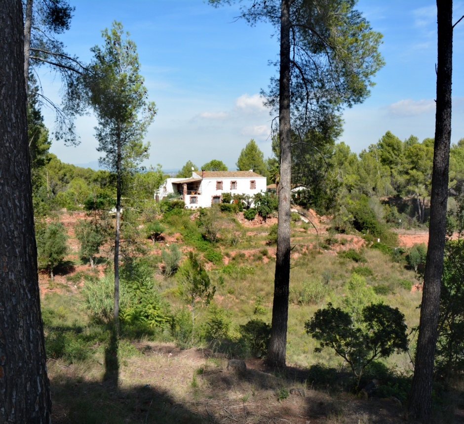Vista de la propietat des de la carretera de Fontpineda