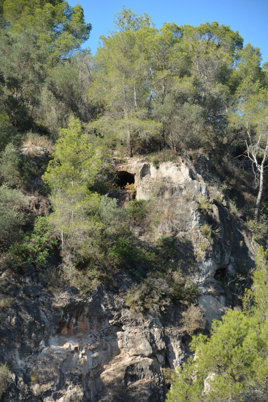 La cova des de la carretera de Fontpineda