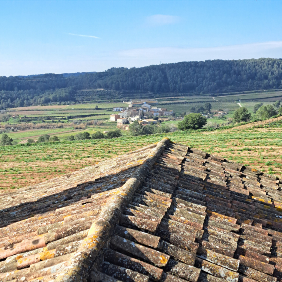 Vista del poble des de Santa Creu de Creixà