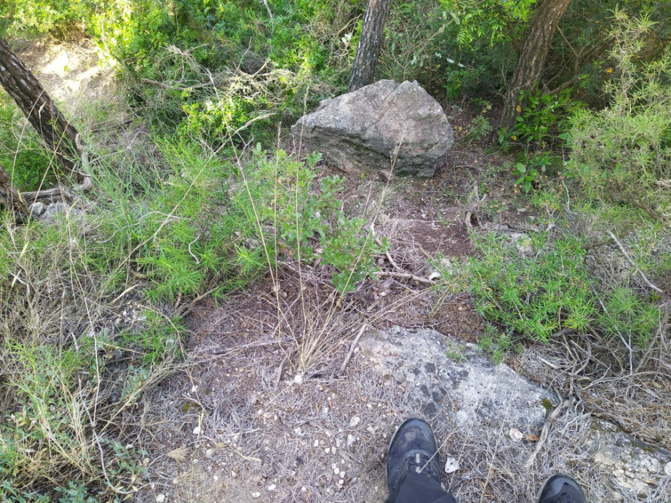 Detall. Foto de Josep Raventós