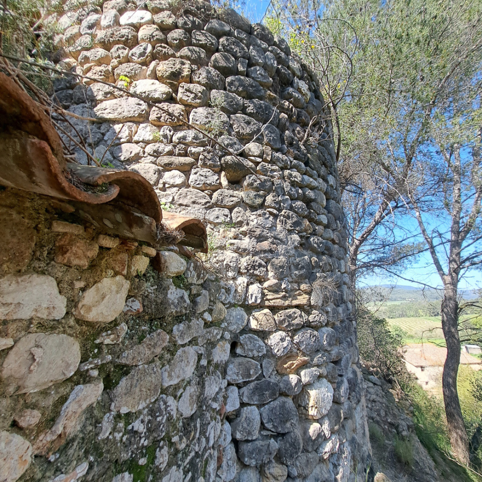 Part posterior de la torre