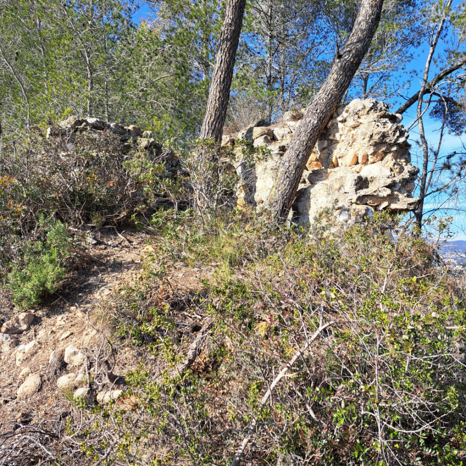 Restes de l'estructura