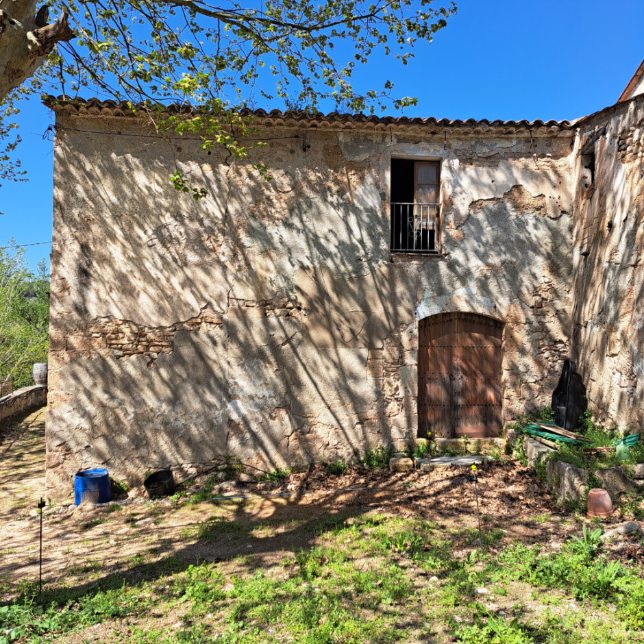 Detall de la façana