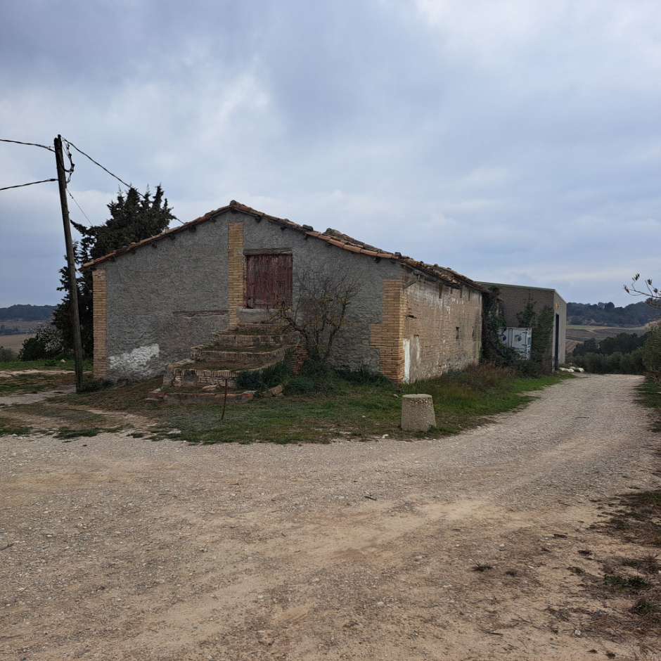 Façana de llevant del celler i posterior