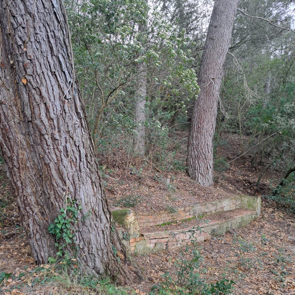 Banc proper a la font