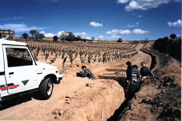 Foto de Jordina Sales (Font: CCAA)