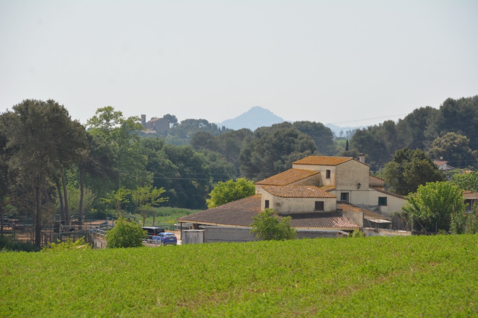 Vista de la casa i coberts des del camí de Polinyà a Sentmenat