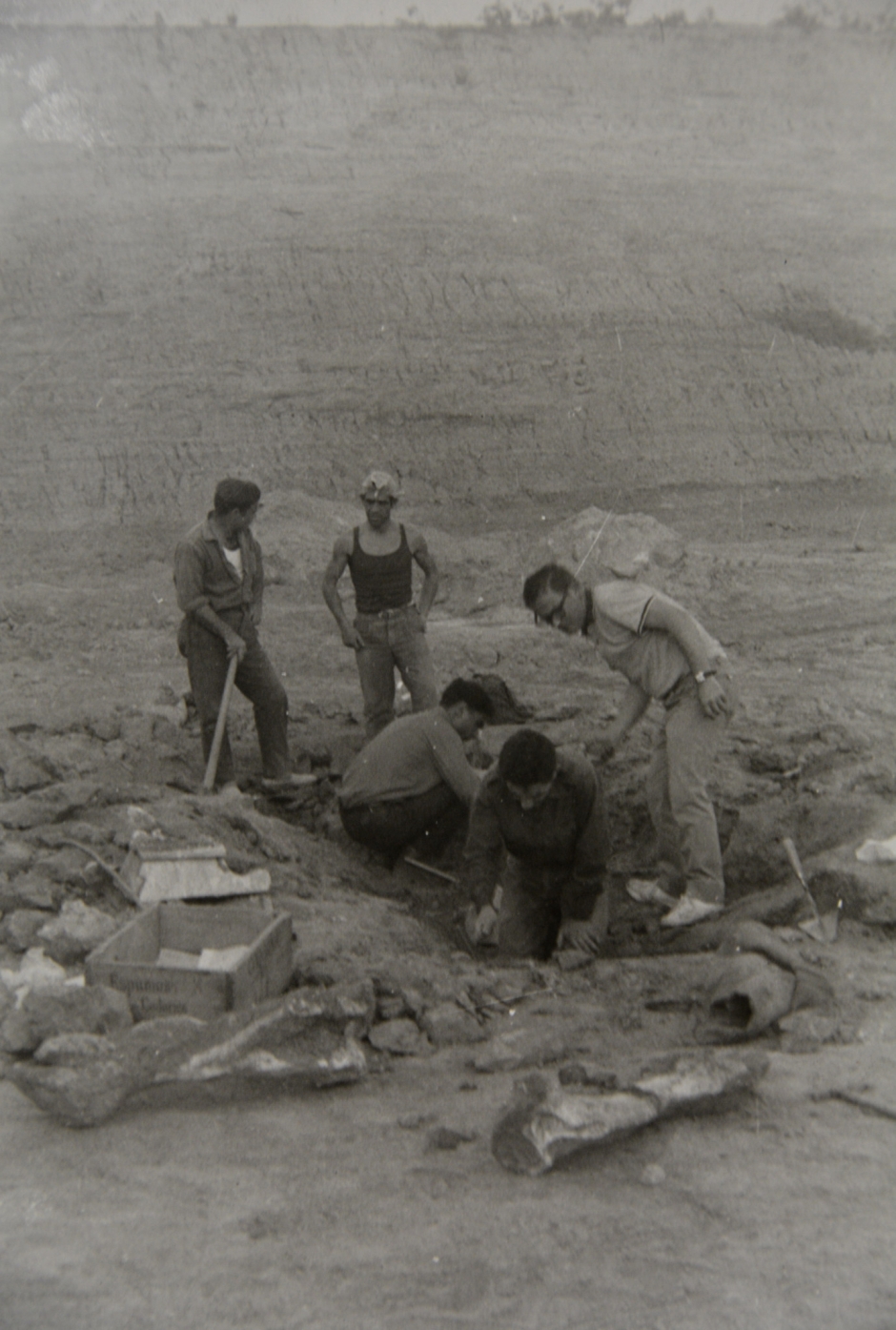 Detall de les tasques d'excavació l'any 1965 (Museu geològic del Seminari de Barcelona)