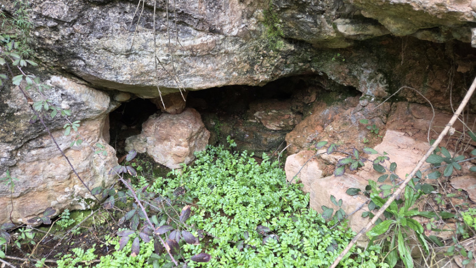Font del Geògraf