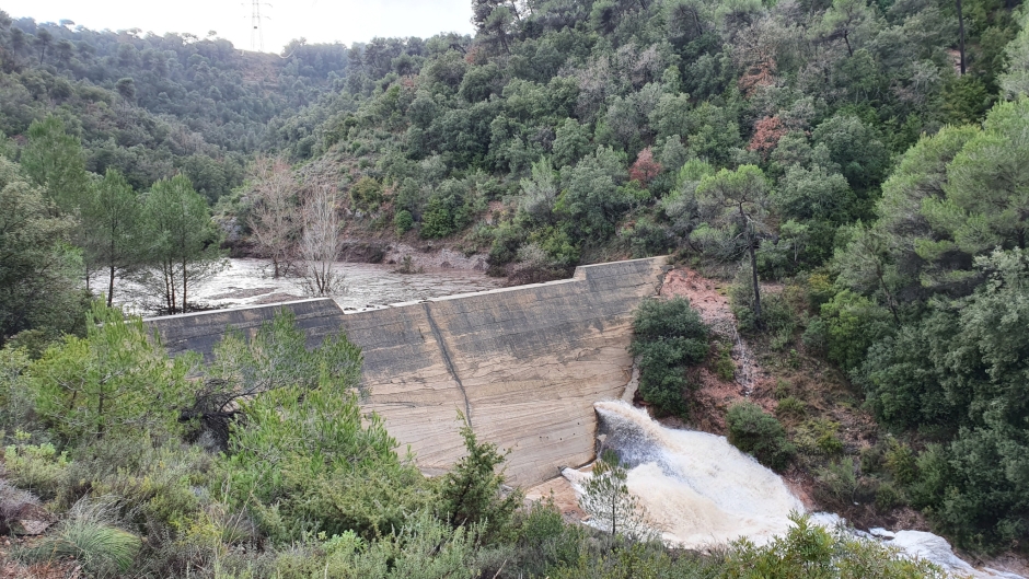 LY2 24VDC | Relè Di Potenza Omron Serie LY2, DPDT, Bobina 24V Cc - Foto 3