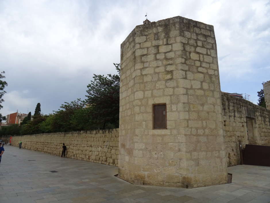 Muralla i torre del monestir.