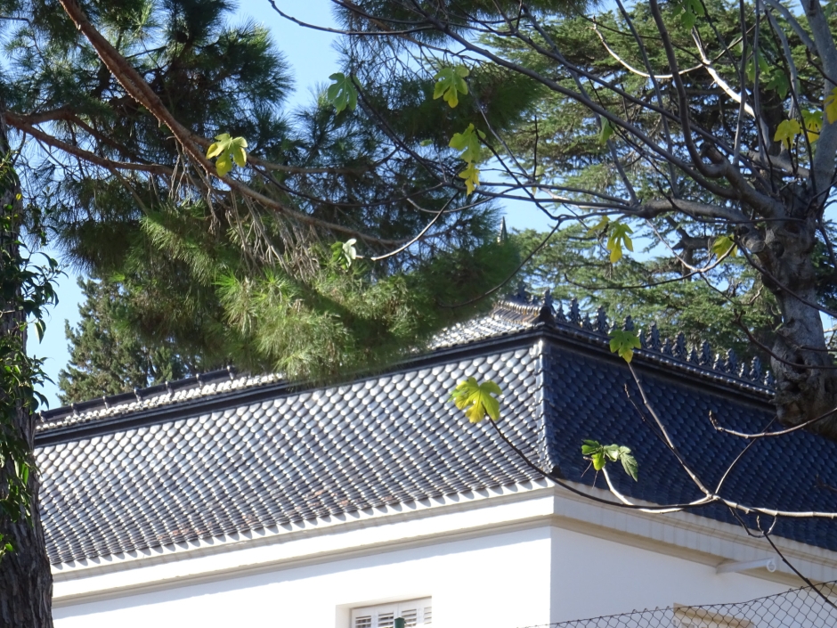 Coronament i teulada del xalet de Josep Almirall.