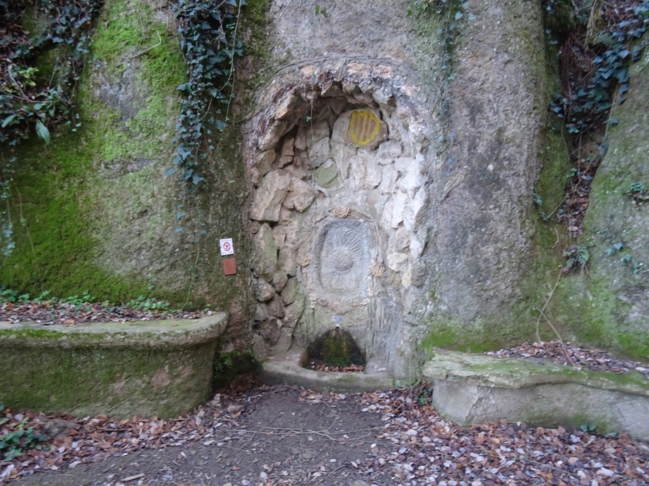 Brollador de la font de la Rabassada.