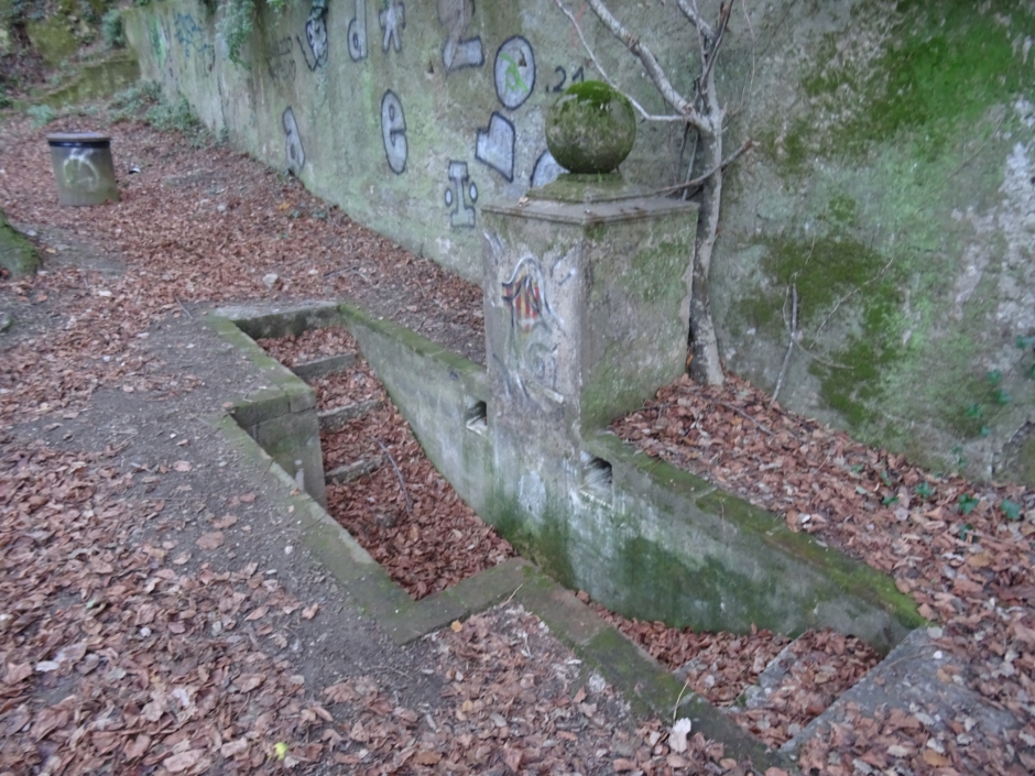 Brollador de la font de la Rabassada.