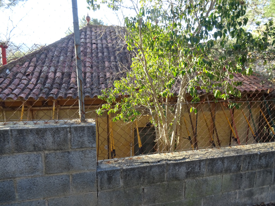 Part posterior del xalet de Gaietà Tarruell V.