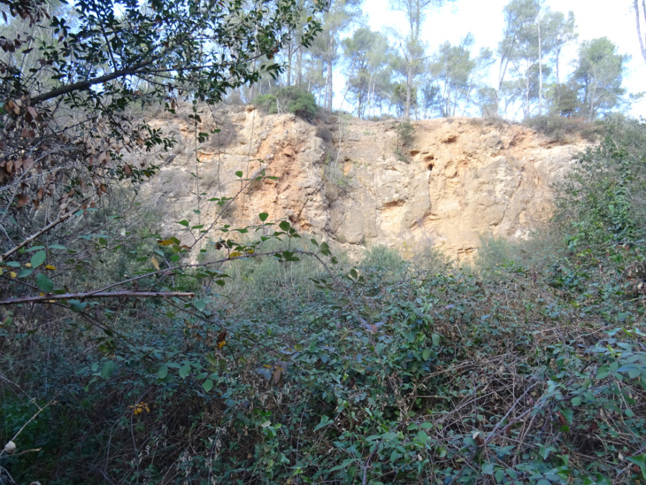 Emplaçament del forn de calç de la Torre Negra