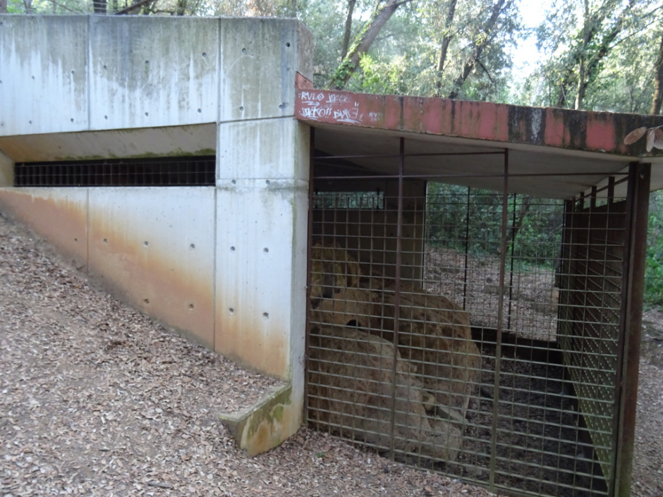 Forn de Sant Adjutori