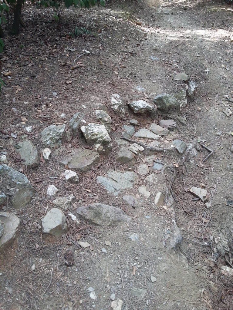 Paratges de Can Borrell i la Torre Negra (Agents Rurals, 2018).