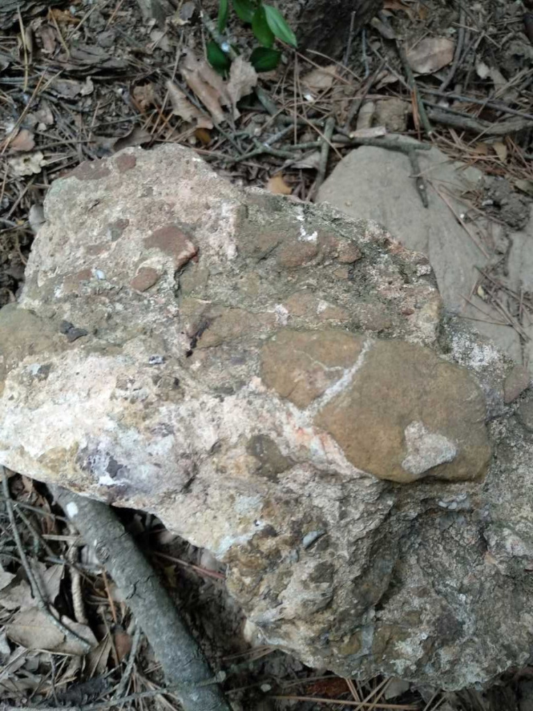 Paratges de Can Borrell i la Torre Negra (Agents Rurals, 2018).