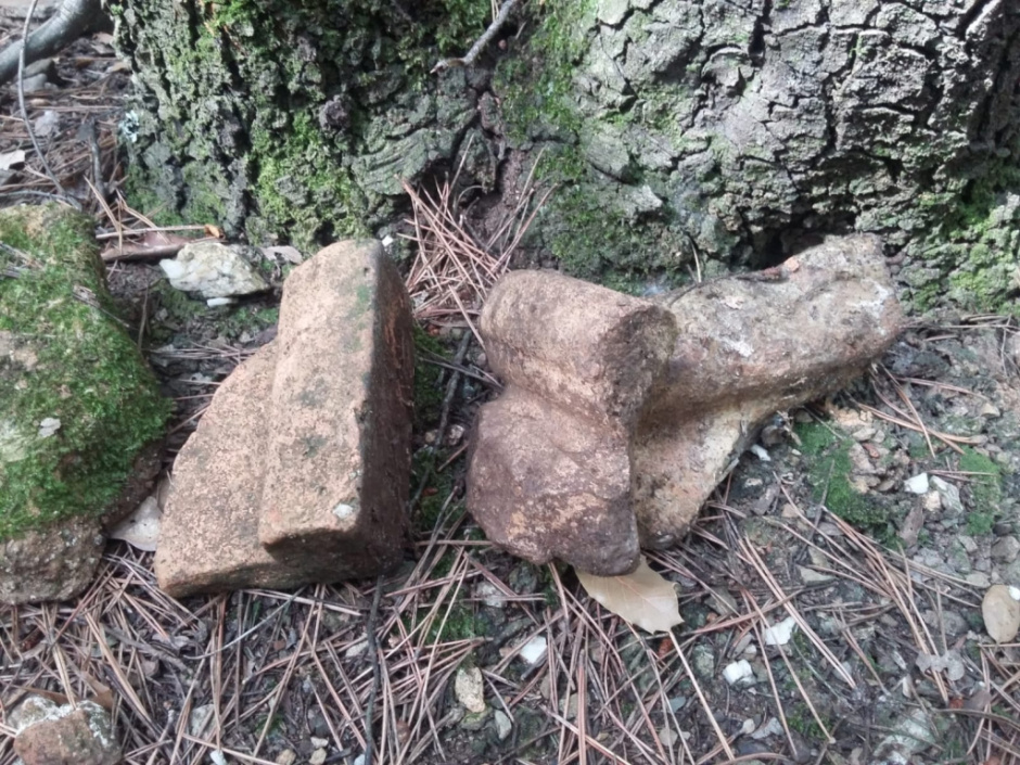 Paratges de Can Borrell i la Torre Negra (Agents Rurals, 2018).