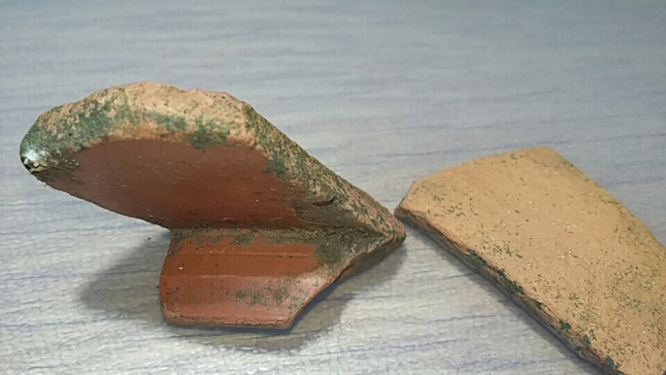 Paratges de Can Borrell i la Torre Negra (Agents Rurals, 2018).