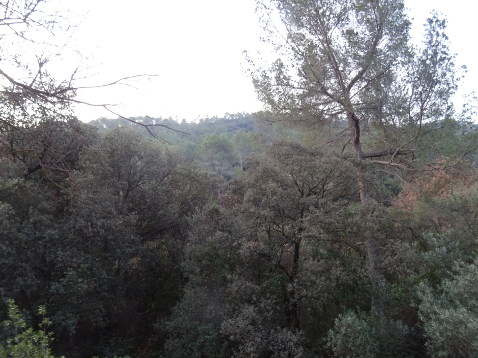 Entorn de can Barba.