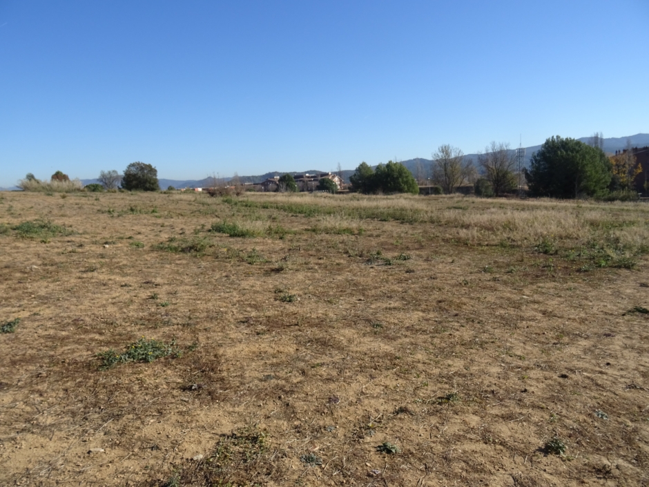 Jaciment arqueològic del carrer Victor Hugo (Viaró).