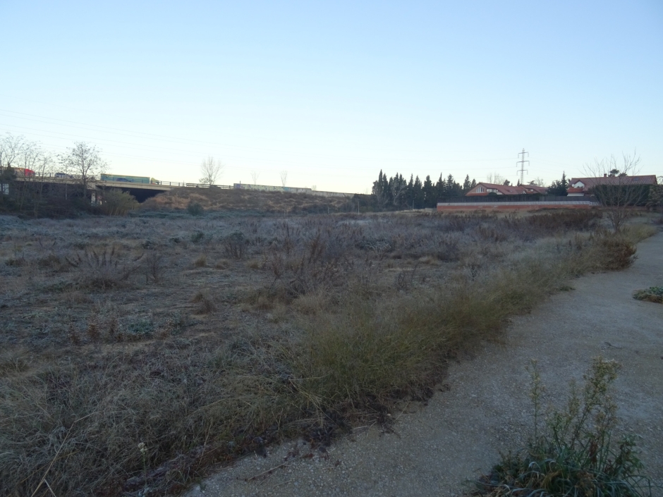 Jaciment arqueològic de l'urbanització Polis Alfa