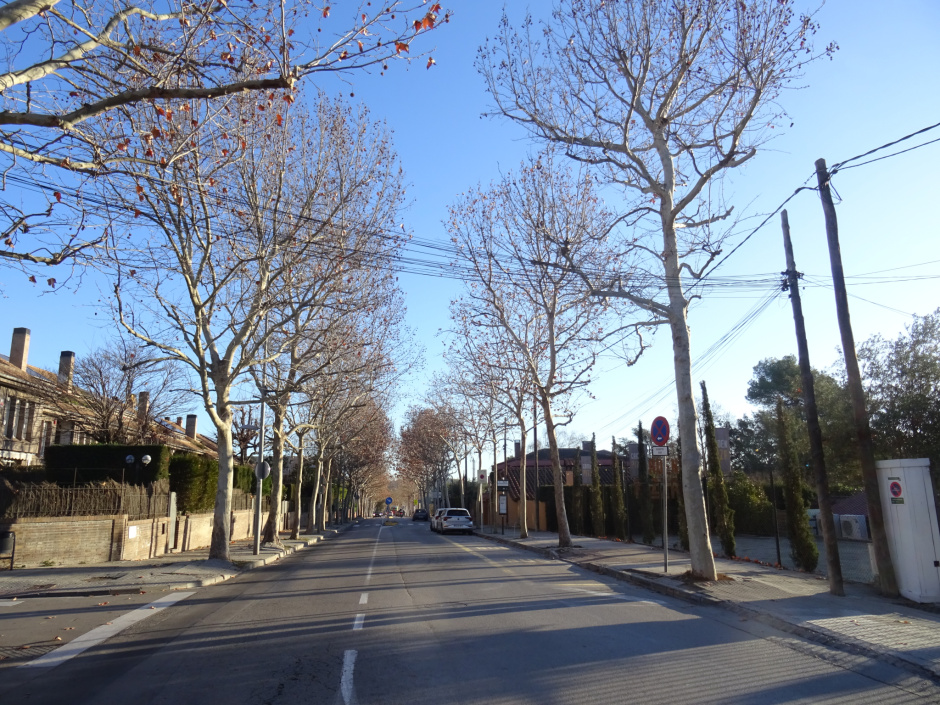 Jaciment arqueològic del carrer de Llaceres.