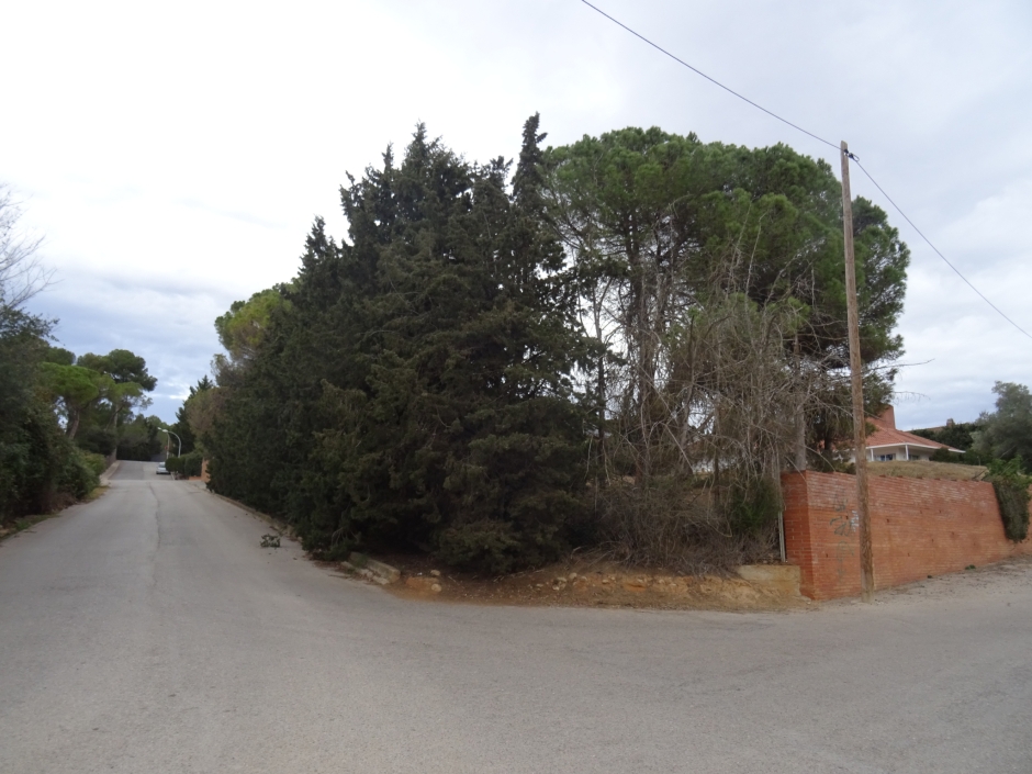 Jaciment arqueològic del Mas Fuster.