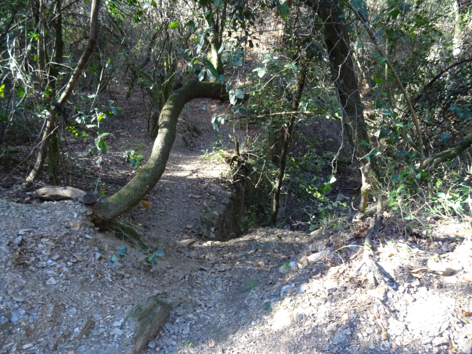 Embassament al torrent de Cal Vilallonga.