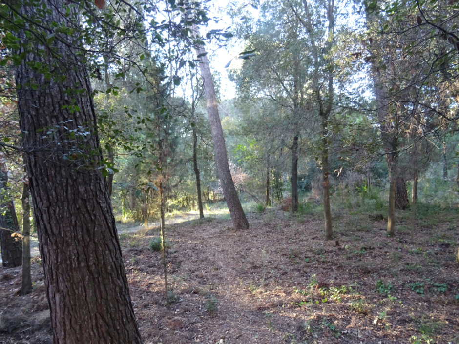 EMplaçament de la troballa de l'enterrament del Centre Borja.