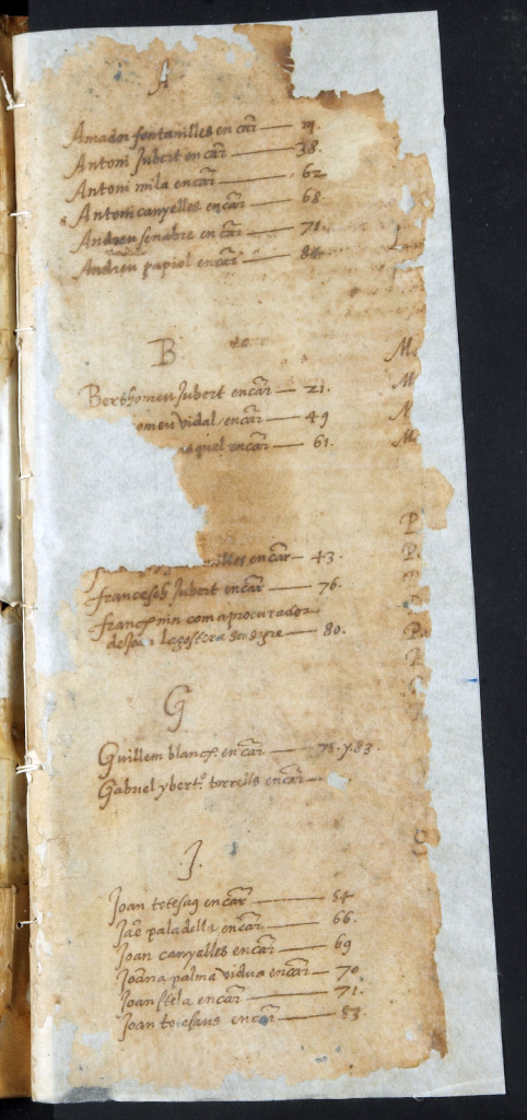 Fragment del capbreu de Lluís de Cervelló (Foto: Arxiu en línia de la Generalitat de Catalunya)