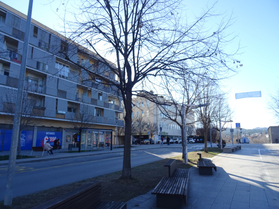 Carrers de la Torre i de la Creu i jardins de llevant del monestir.