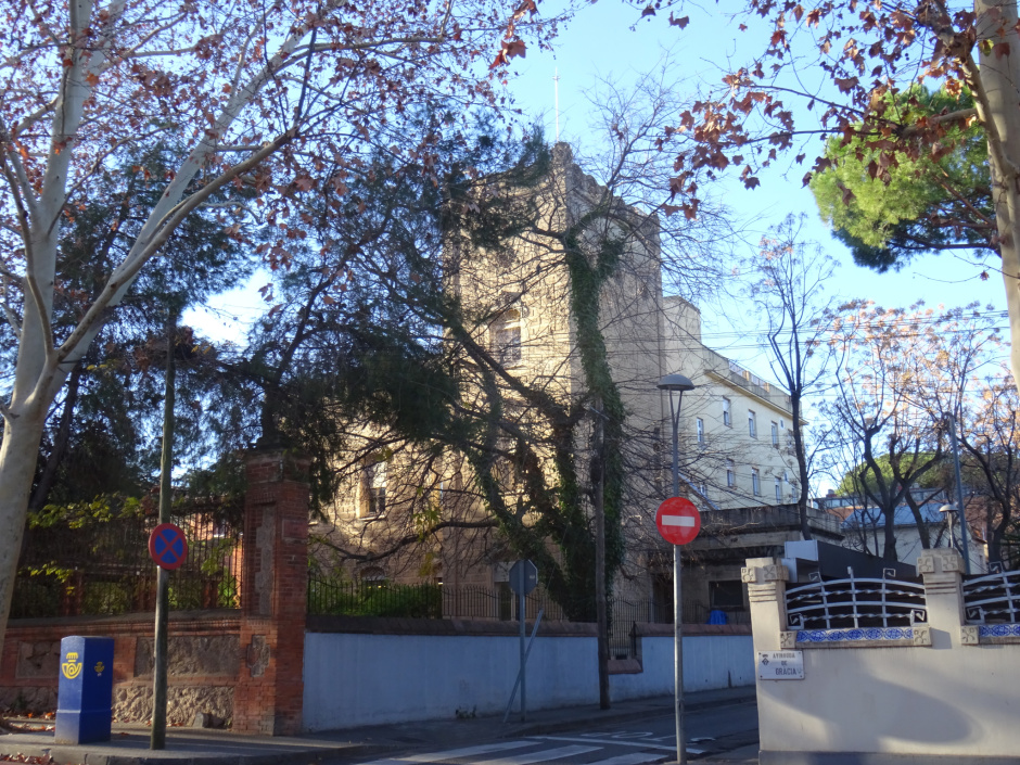 El lledoner de la Casa Mònaco.