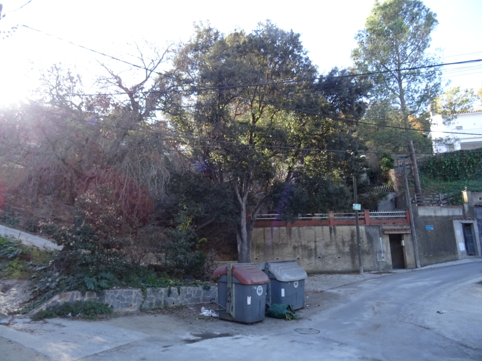 Alzines del passatge d'Adrià - carrer de Cupré.