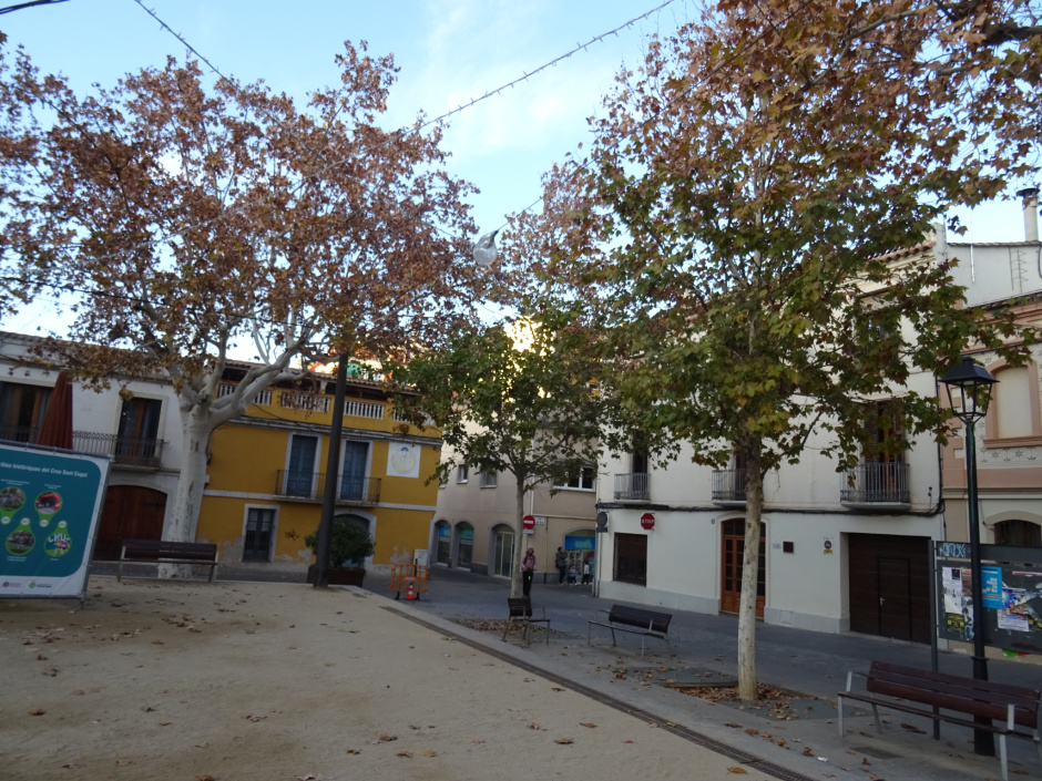 Plàtans de la plaça de Barcelona.