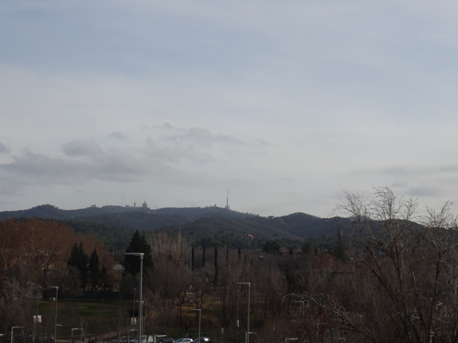 Parc Natural de Collserola.