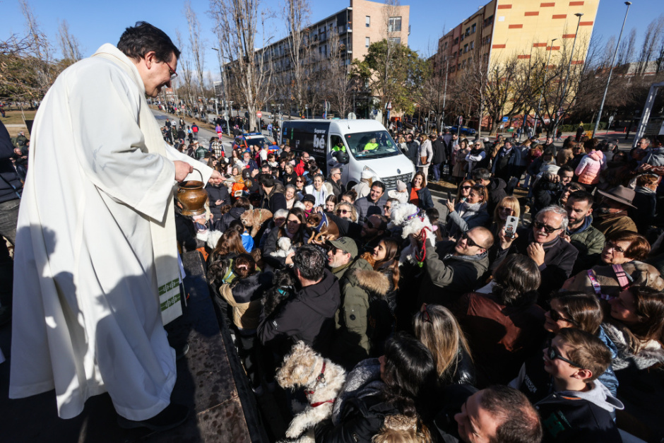 Cercavila de Sant Antoni Abat (Ajuntament de Sant Cugat del Vallès, any 2024)
