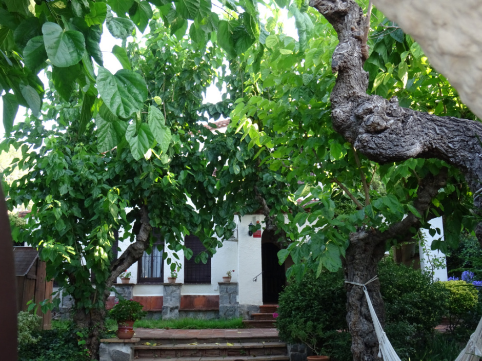 Casa de l'avinguda Ramon Escayola número 72