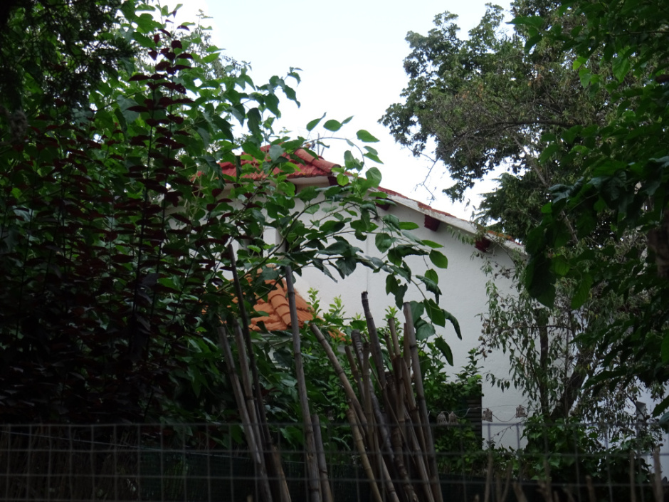 Xalet de l’Everest