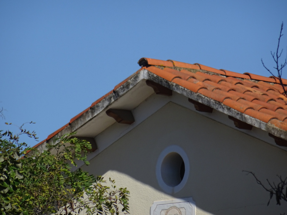 Casa del passeig de Rubí número 52