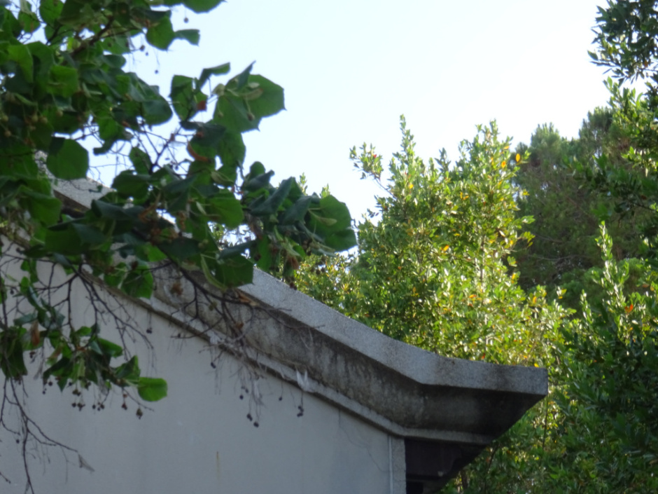 Casa de la rambla del Jardí número 162