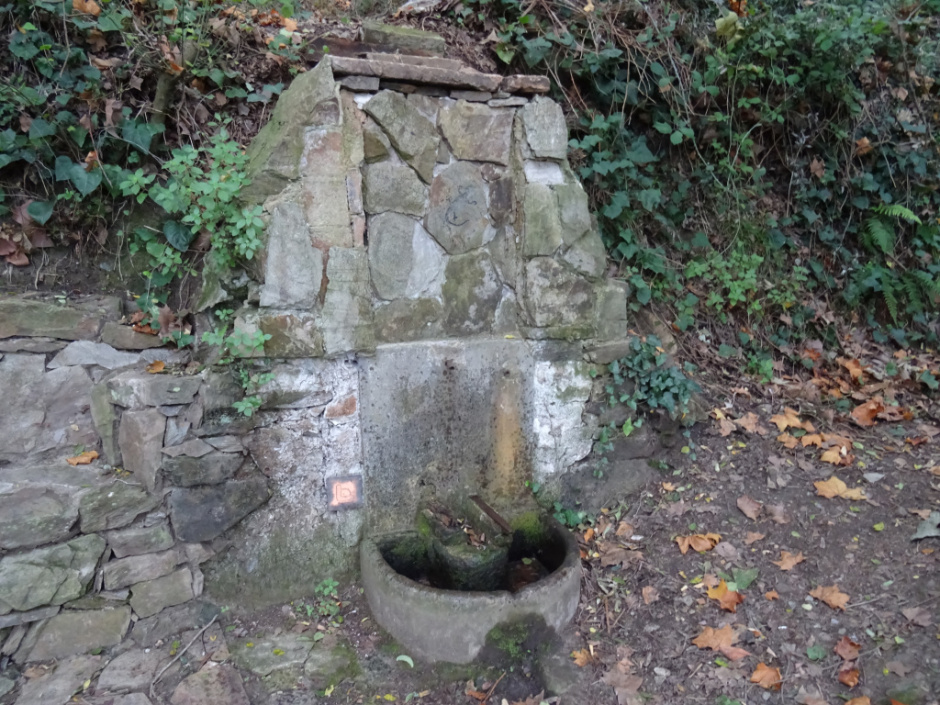 Font de la Salamandra