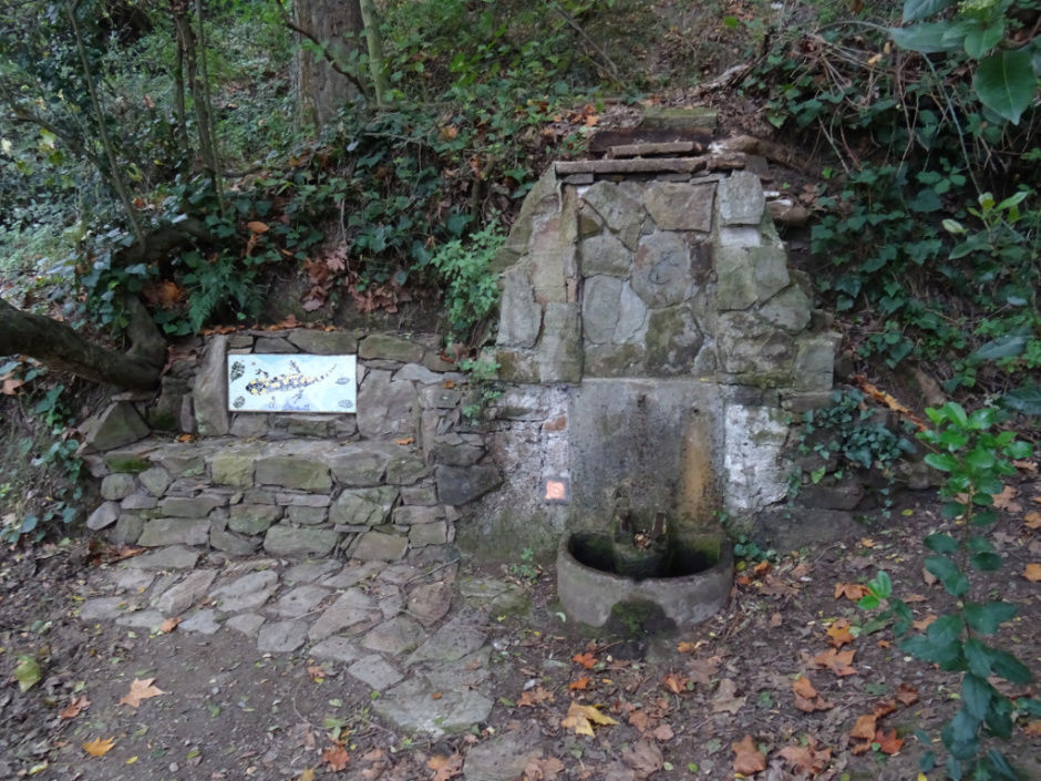 Font de la Salamandra
